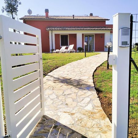 Villetta Fedora Immersa Nel Verde Cecina  Dış mekan fotoğraf