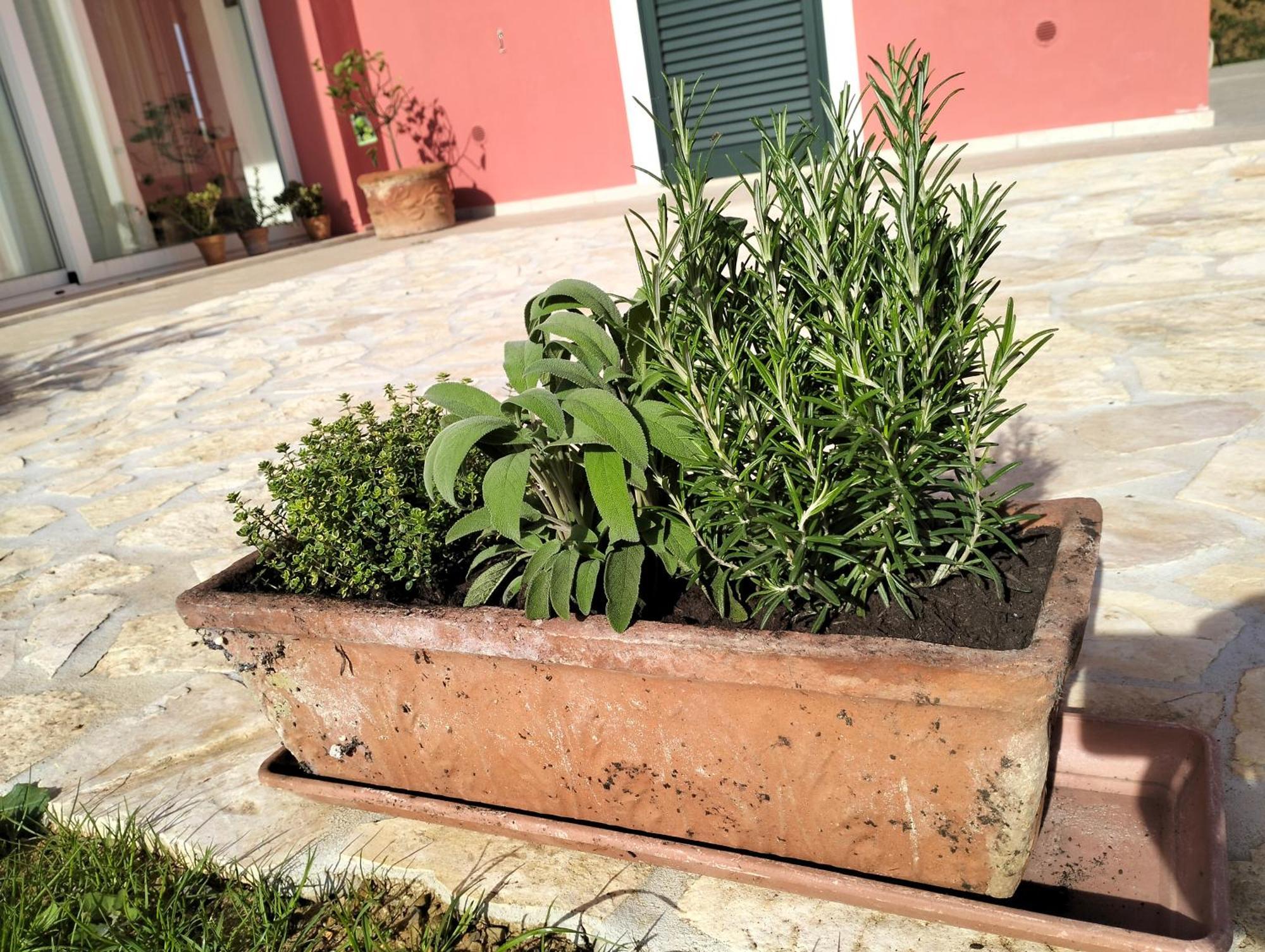 Villetta Fedora Immersa Nel Verde Cecina  Dış mekan fotoğraf