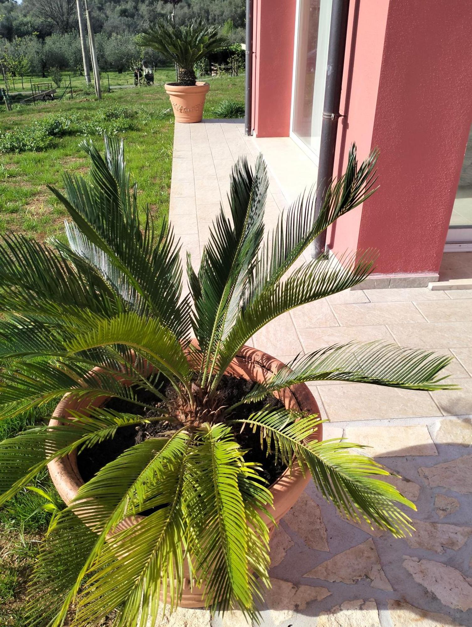 Villetta Fedora Immersa Nel Verde Cecina  Dış mekan fotoğraf